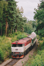 749.081 R993 Horn Bza 06.08.2005