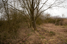 sm. nz Trojany a budouc� zast�vka